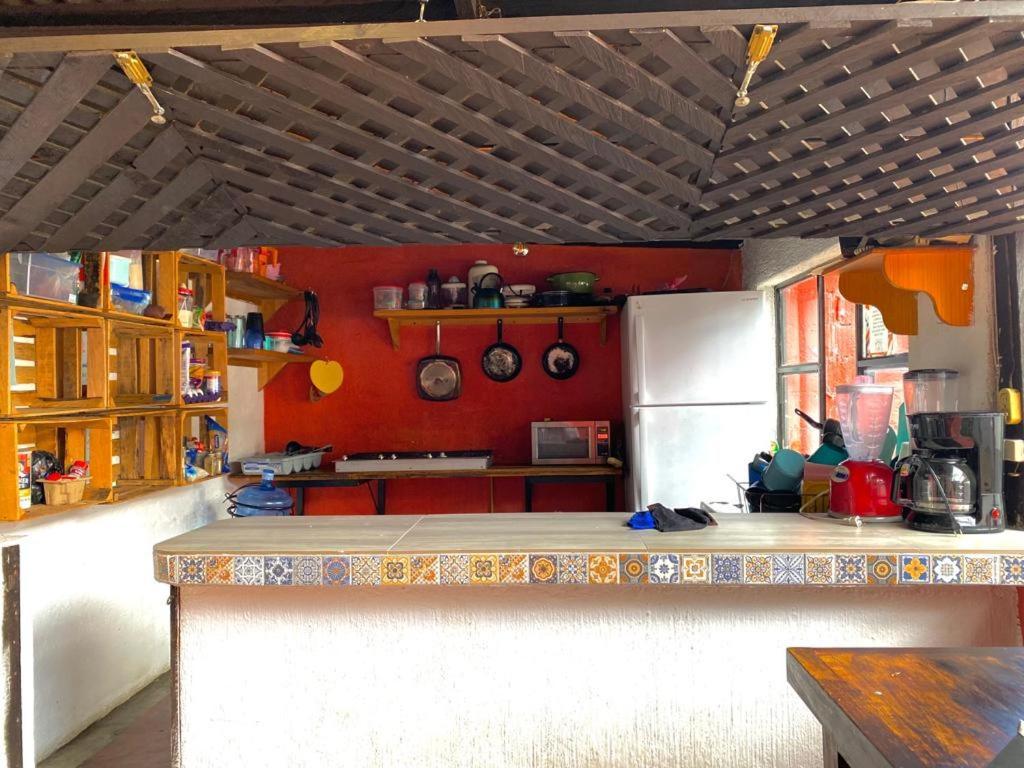 San Cristóbal de Las Casas Berlin61酒店 外观 照片