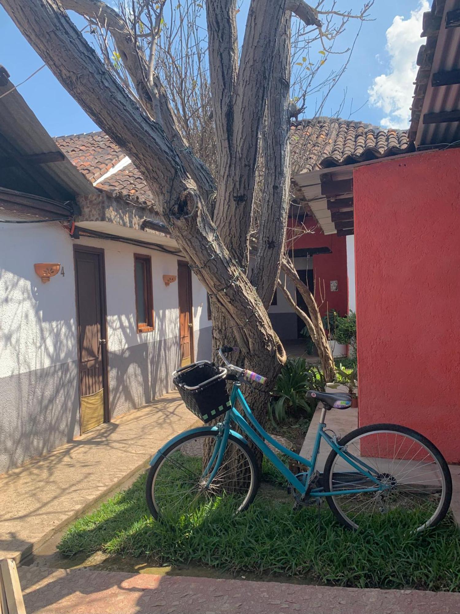 San Cristóbal de Las Casas Berlin61酒店 外观 照片