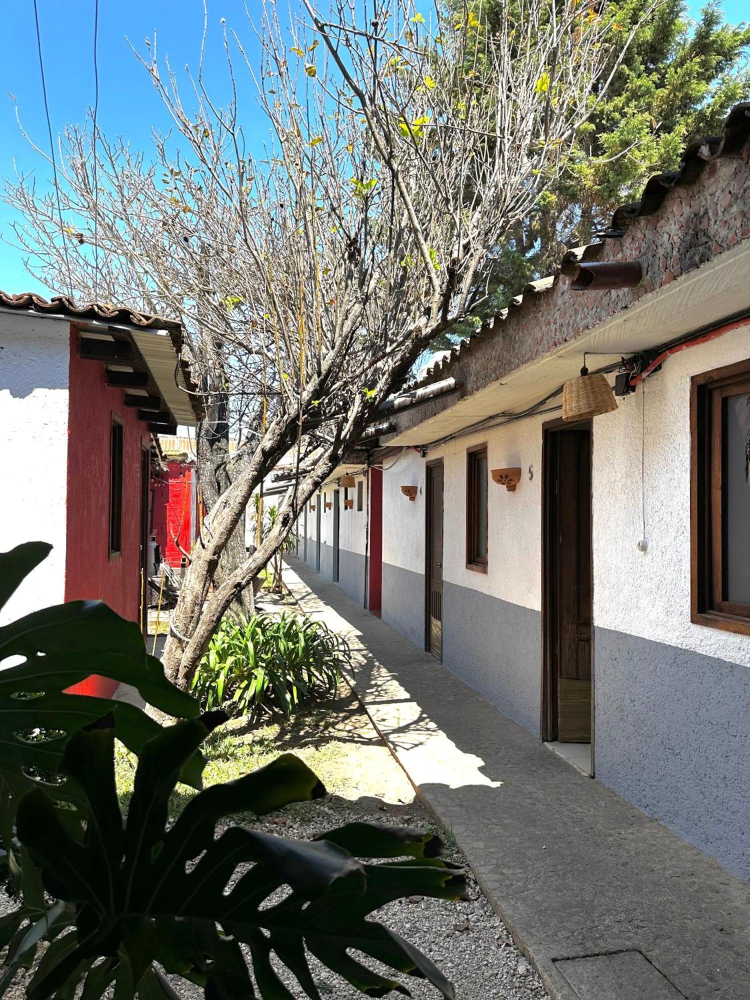 San Cristóbal de Las Casas Berlin61酒店 外观 照片